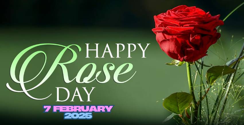 Valentine Week 2025 Happy Rose Day Greetings, Wishes, Status, Messages